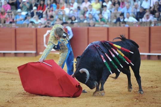 Banderillas de torero para decoración I Banderillas pequeñas autenticas